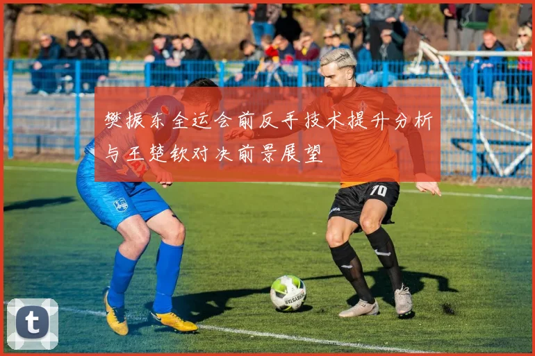 樊振东全运会前反手技术提升分析与王楚钦对决前景展望