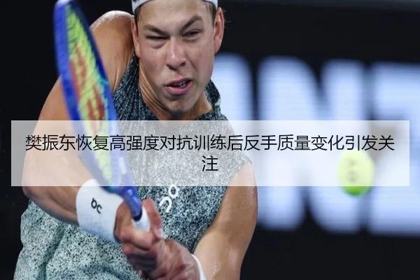 樊振东恢复高强度对抗训练后反手质量变化引发关注