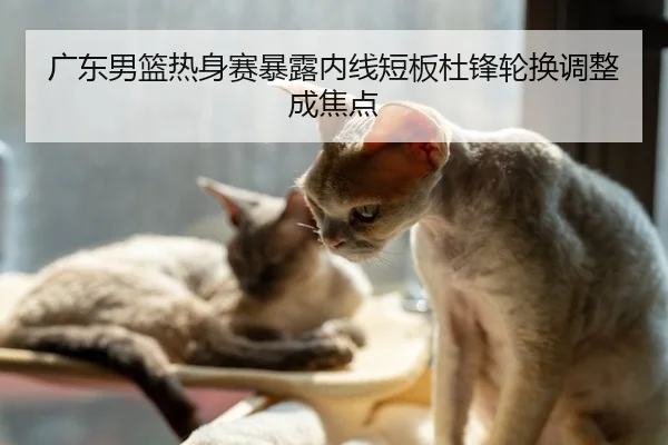 广东男篮热身赛暴露内线短板杜锋轮换调整成焦点